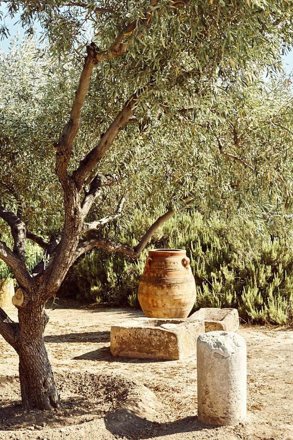 Nikolaou Art Residence Aegina エクステリア 写真
