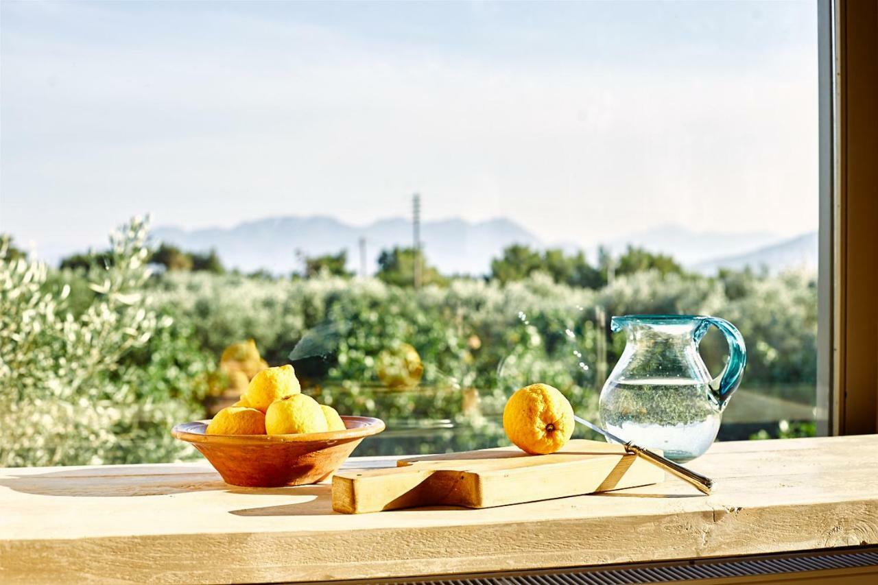 Nikolaou Art Residence Aegina エクステリア 写真