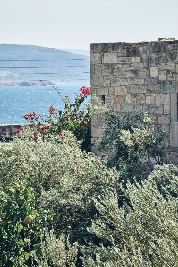 Nikolaou Art Residence Aegina エクステリア 写真