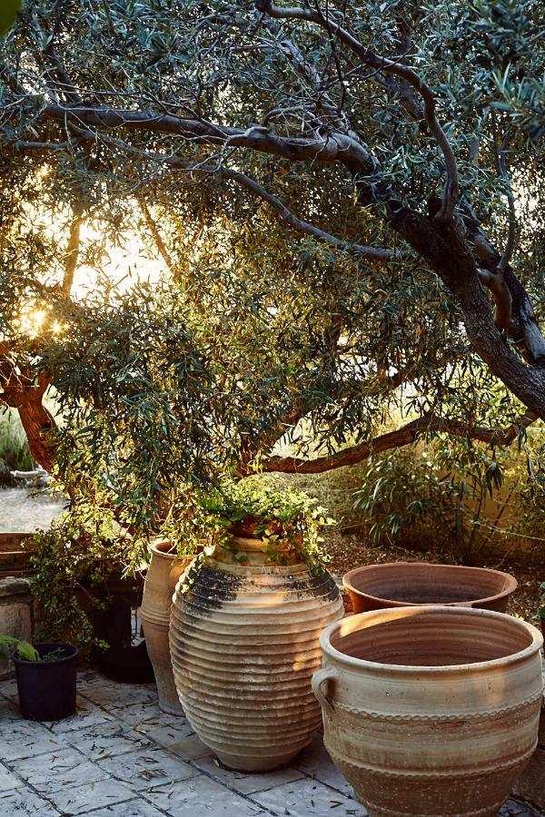 Nikolaou Art Residence Aegina エクステリア 写真
