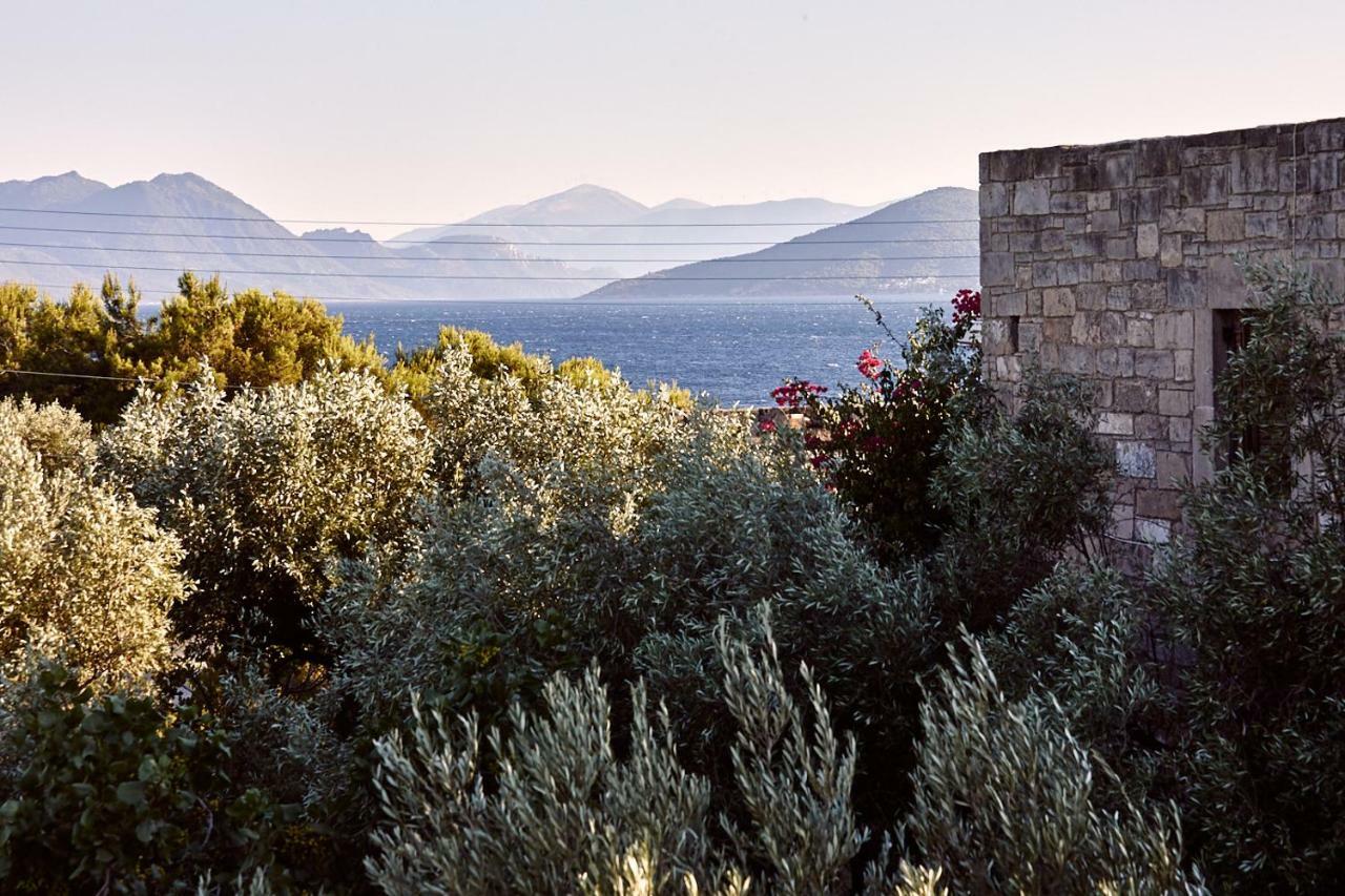 Nikolaou Art Residence Aegina エクステリア 写真