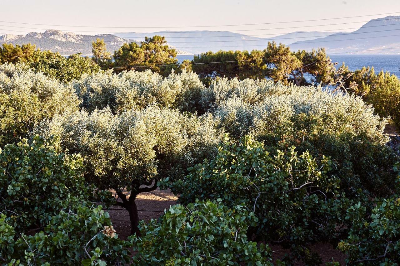 Nikolaou Art Residence Aegina エクステリア 写真