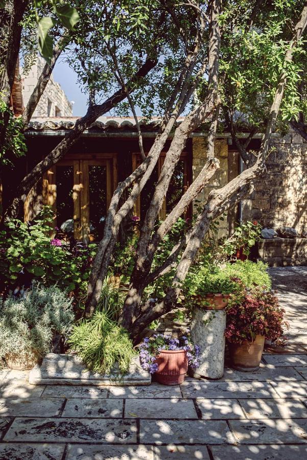 Nikolaou Art Residence Aegina エクステリア 写真