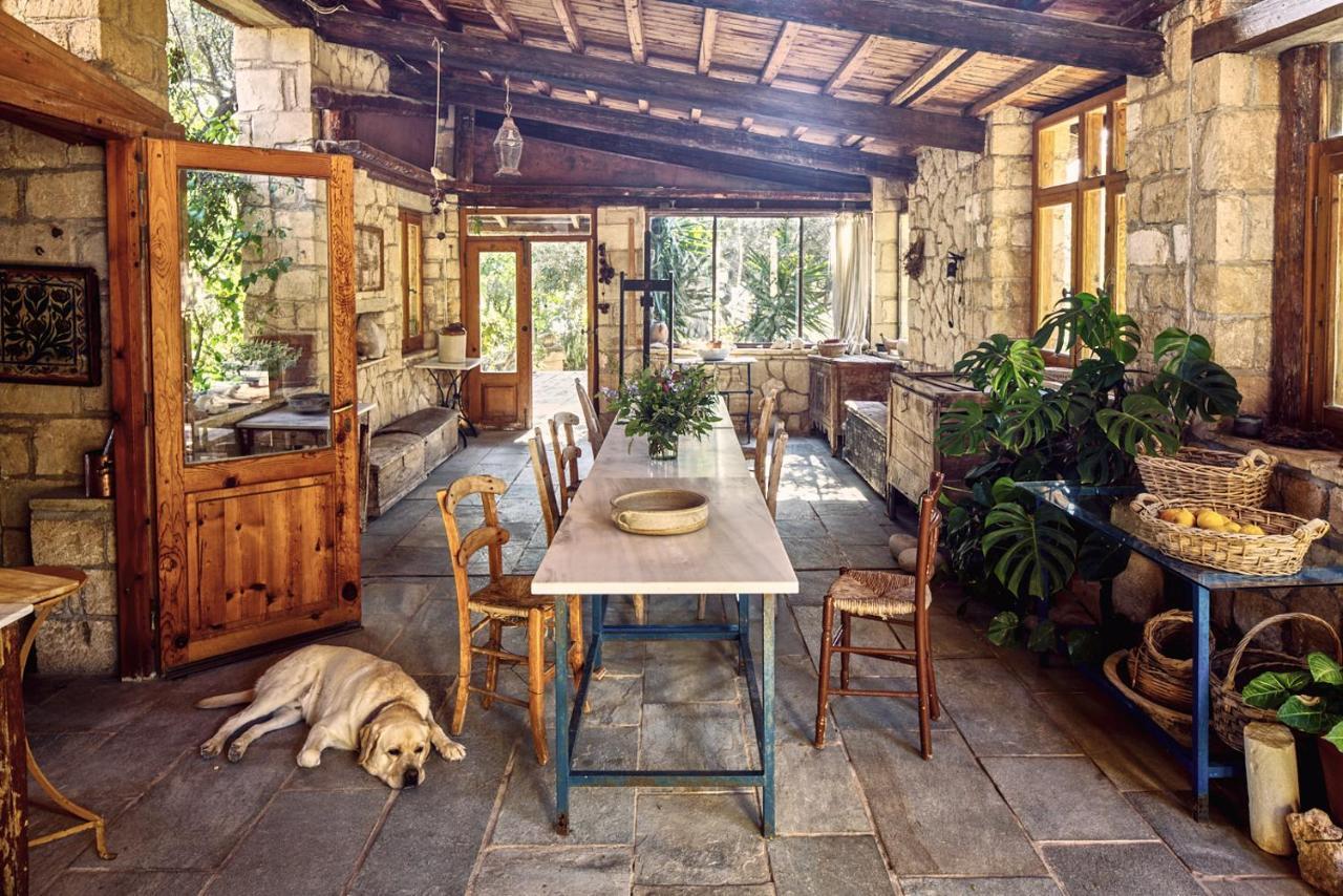 Nikolaou Art Residence Aegina エクステリア 写真